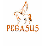 Pegasus Tee Shirts