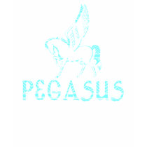 Pegasus t-shirts