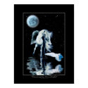 PEGASUS & WHITE RAVEN Collection posters