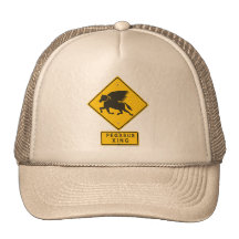 Pegasus XING Trucker Hat