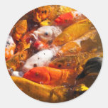 pegatina clasificado de los pescados