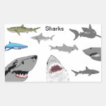 Pegatina del rectángulo de los tiburones