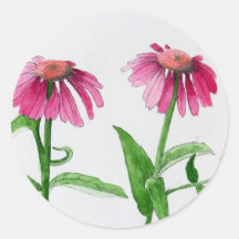 Pegatinas de Coneflower