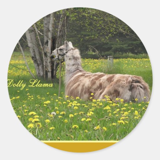 Pegatinas de la llama de Appy