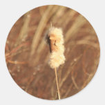 Pegatinas del Cattail