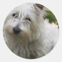 Pegatinas del oeste de Terrier de la montaña