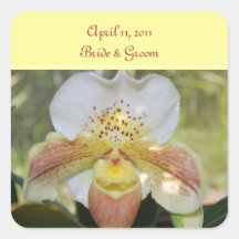 Pegatinas manchados del boda de la orquídea