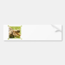 Pegatinas para el parachoques de la tortuga etiqueta de parachoque