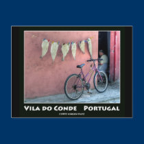 Peixe a secar postcards
