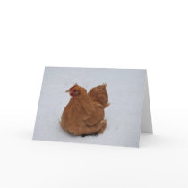 Pekin Chicken in the Snow Cards