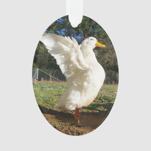 pekin duck ornament zazzle pekin duck ornament zazzle