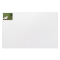 Pekin duck with open bill on green grass stationery paper