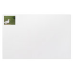 Pekin duck with open bill on green grass stationery paper