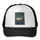 Pekin X Trucker Hat
