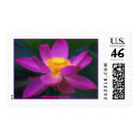 pekinensis rubra, www.buumon.org postage