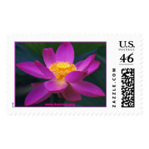 pekinensis rubra, www.buumon.org postage
