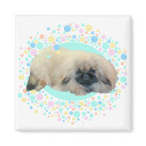 Pekingese Bubble Happiness Fridge Magnet
