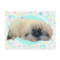 Pekingese Bubble Happiness Post Cards