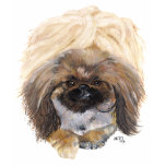 pekingese, pekinese, peke, dog art, pet art,