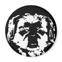Pekingese Geschenke - Magnet by pupaya Pekingese Geschenke - Magnet