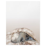 Pekingese is Peeking Out Customized Letterhead