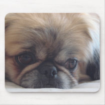 Pekingese Mouse Pads