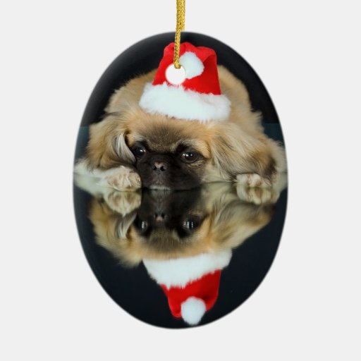pekingese photo christmas ornament zazzle pekingese photo christmas ornament zazzle