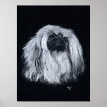 Pekingese Portrait in Black & White Print