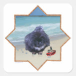 Pekingese Puppy at the Beach Square Stickers