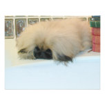 Pekingese Thinking Big Custom Invites
