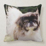 Pekingese Throw Pillow pillows