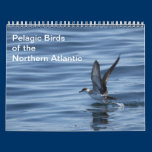 Pelagic Birds of the Northern Atlantic calendar calendars