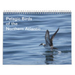 Pelagic Birds of the Northern Atlantic calendar