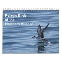 Pelagic Birds of the Northern Atlantic calendar