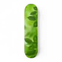 pelangi skate board