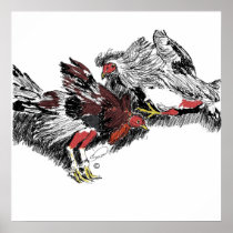 Pelea de Gallos Posters