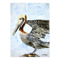 pelican_4_bird_painting posters