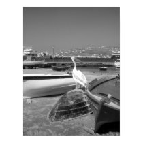 Pelican and Boats II (Black and White) posters