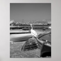 Pelican and Boats II (Black and White) Posters