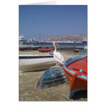pelican, boats, mykonos, greece, greek, sea, - party travel