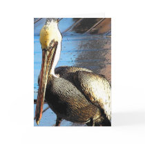 Pelican at Sunset Card