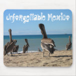 Pelican Beach Bums; Mexico Souvenir Usepads