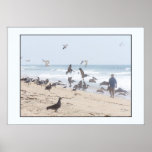 Pelican Beach Day Print
