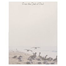 Pelican Beach Personalized Letterhead by farmer77 Pelican Beach Personalized Letterhead