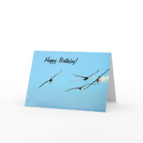 Pelican Birthday 1 Card