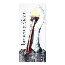 Pelican Book Mark Rack Card