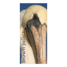 Pelican Book Mark Rack Card