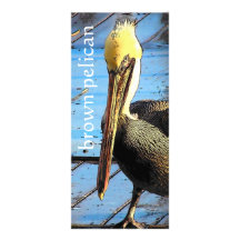 Pelican Book Mark Rack Card