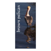 Pelican Book Mark Rack Card