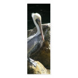Pelican Bookmark Business Card